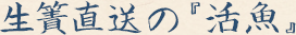 生簀直送の『活魚』